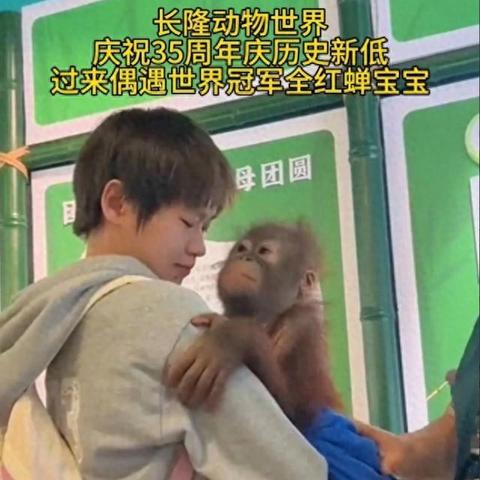 全红婵和同学握手比谁弯腰低？这个动作到底暗藏了什么深层含义？让我们揭秘！