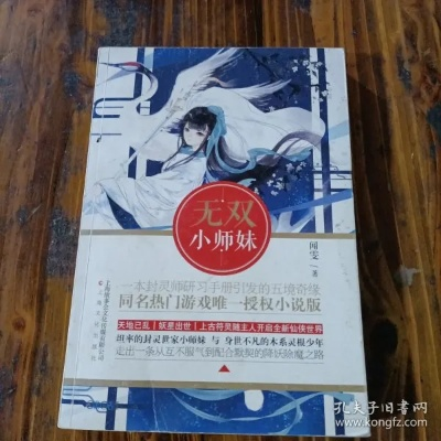 探索无双小师妹闻雯的奇幻冒险之旅：免费阅读全章节指南