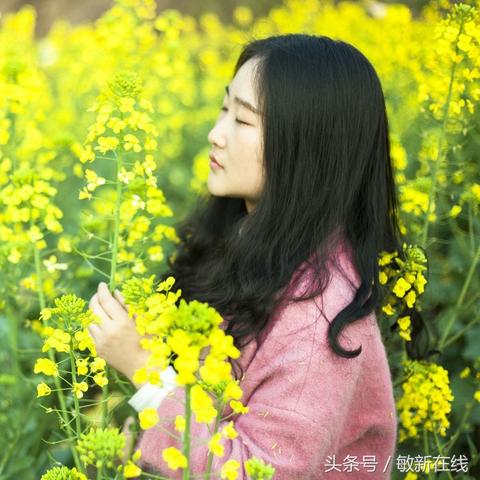 揭秘古神遗踪职业技能的奥秘与应用：探索古神力量，拓展职业技能使命