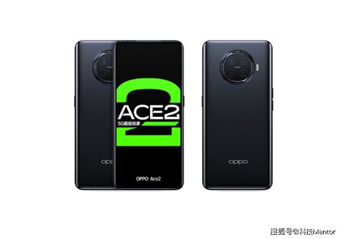 波卡小伙伴本官方下载安装-波卡小伙伴手机版下载安装v.5.25